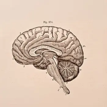 Psychology Online Submissions Tile