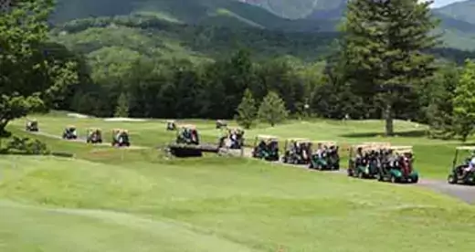 Golf carts lined up with mountains in the background.