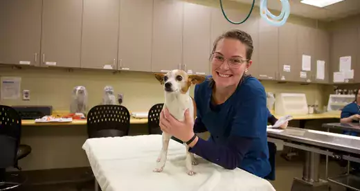 Veterinary Student holding dog on an examining table