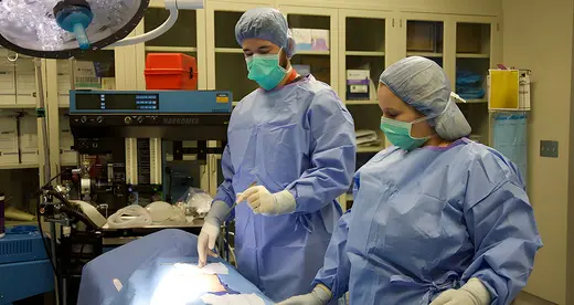 A-B Tech LIVE! Surgical Technology - News Featured