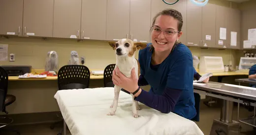 Veterinary Student holding dog on an examining table