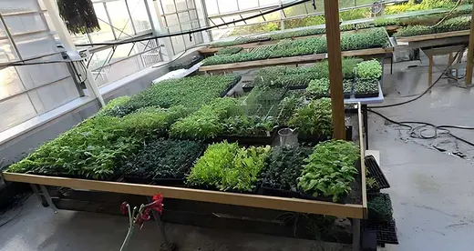 Annual Plant Sale on April 28 - News Featured