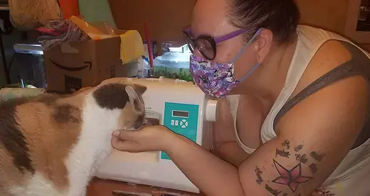 Porscha Orndorff at her sewing machine with a cat.