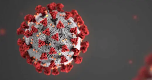 Coronavirus - News Featured
