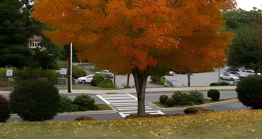 Fall at A-B Tech - News Featured