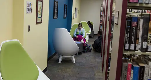 RISE Spotlight Spring 2019 - News Featured