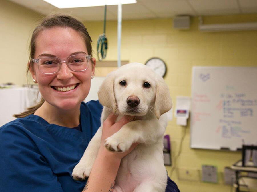 Veterinary Tech Open House - Featured