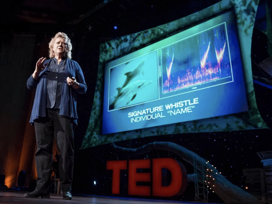 Denise Herzing at TED13