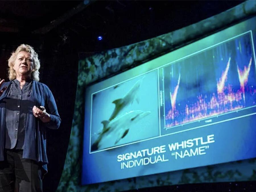 We Matter STEM Seminar: What Are Animals Talking About? - News Featured