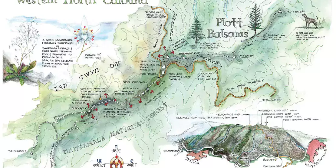 Hand drawn map of Haywood County