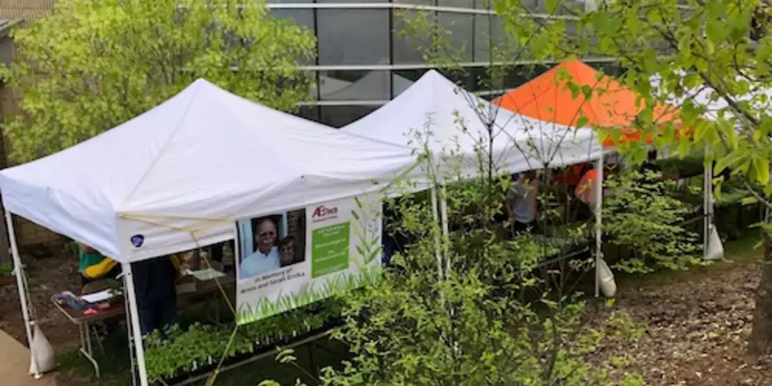 Tent at the plant sale