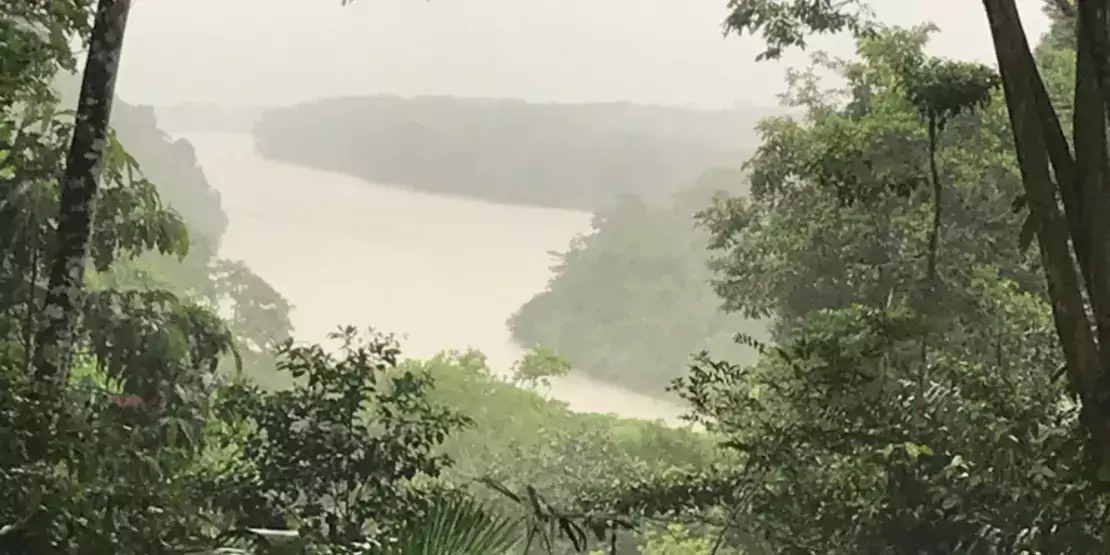 River in Ecuador seen through the trees