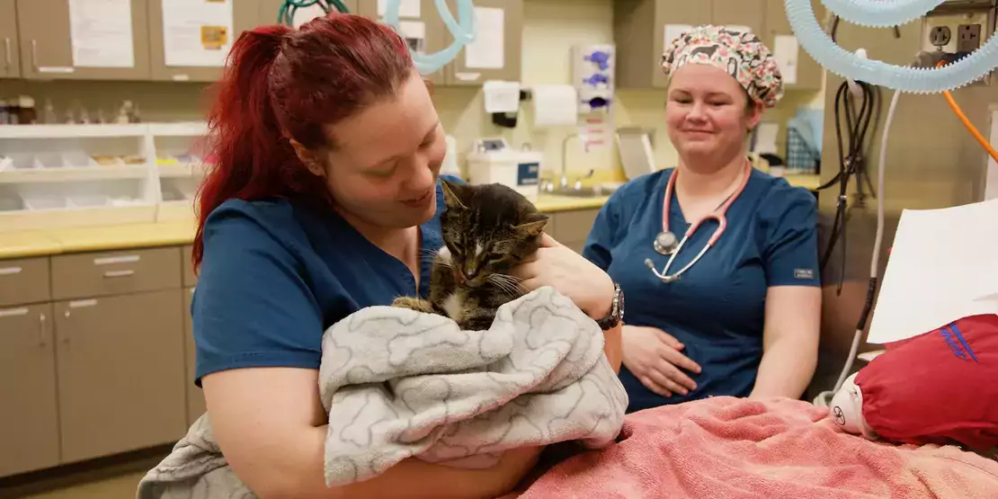 Veterinary Student holding cat wrapped in a towel