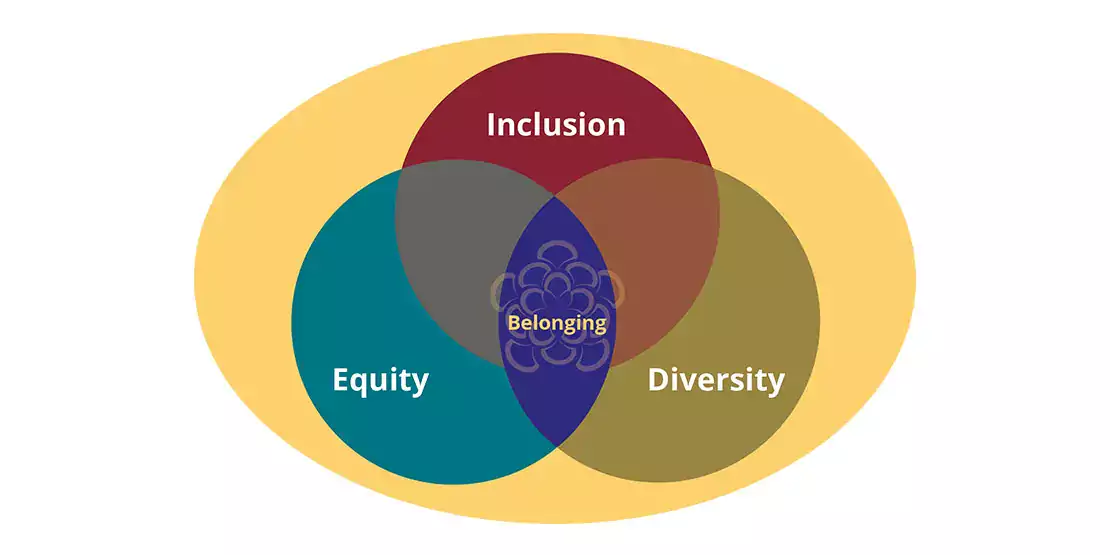 Diversity, Equity, Inclusion, And Belonging (DEIB) | Asheville-Buncombe ...