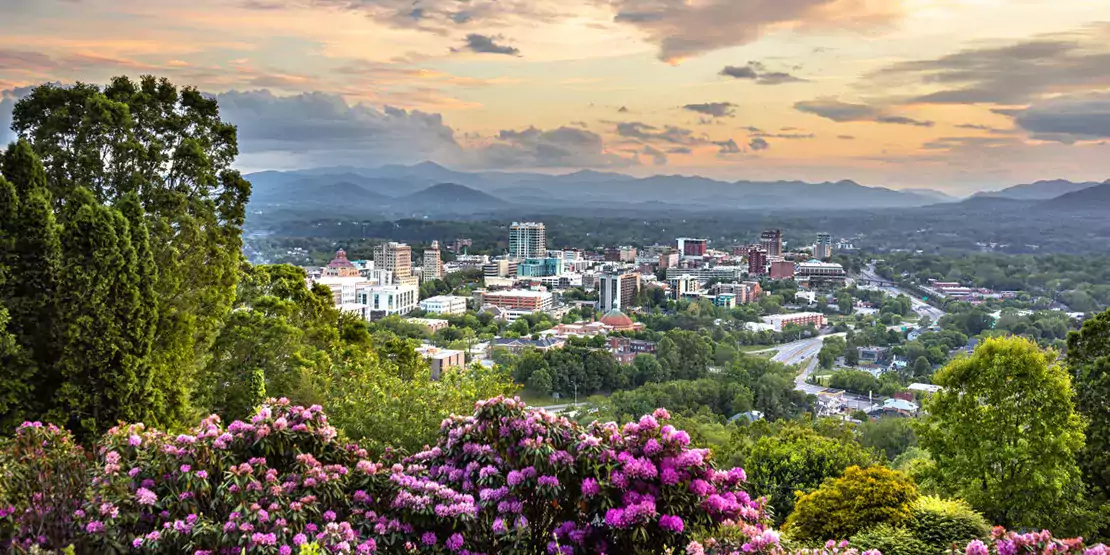 View of mountain laurels with Asheville in the background