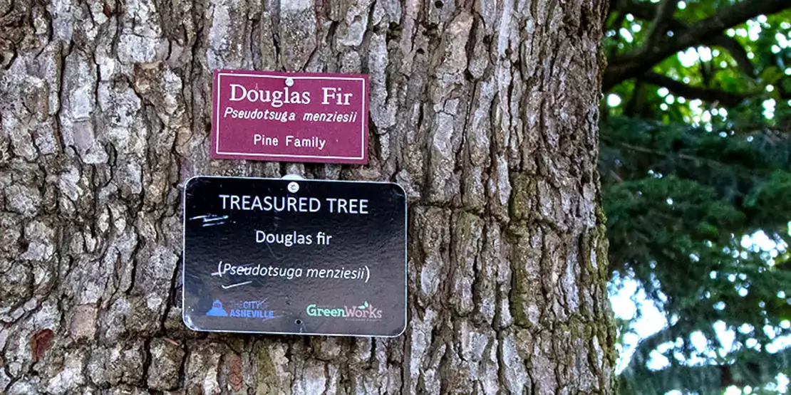 Treasured Tree Plaque Featured Carousel