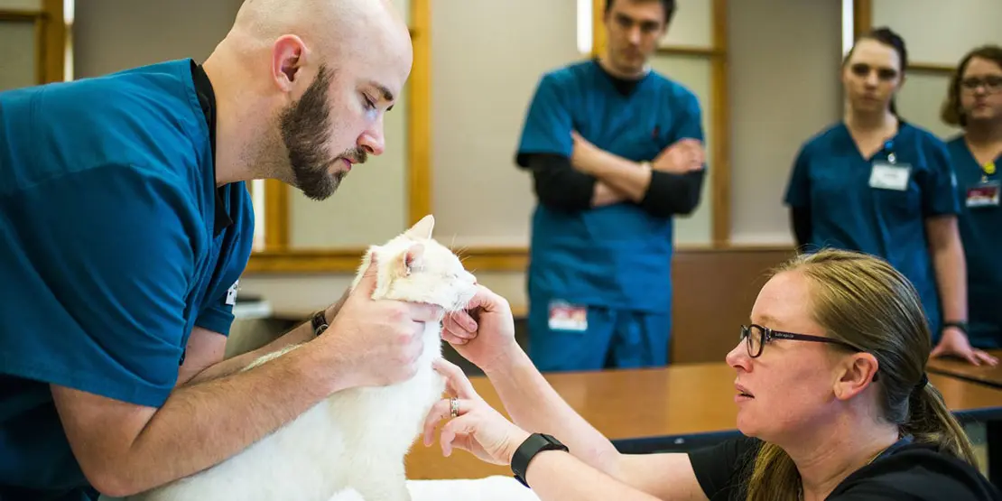 A-B Tech Department Chair Paige Jimeson Instills a Legacy - News Carousel - 1