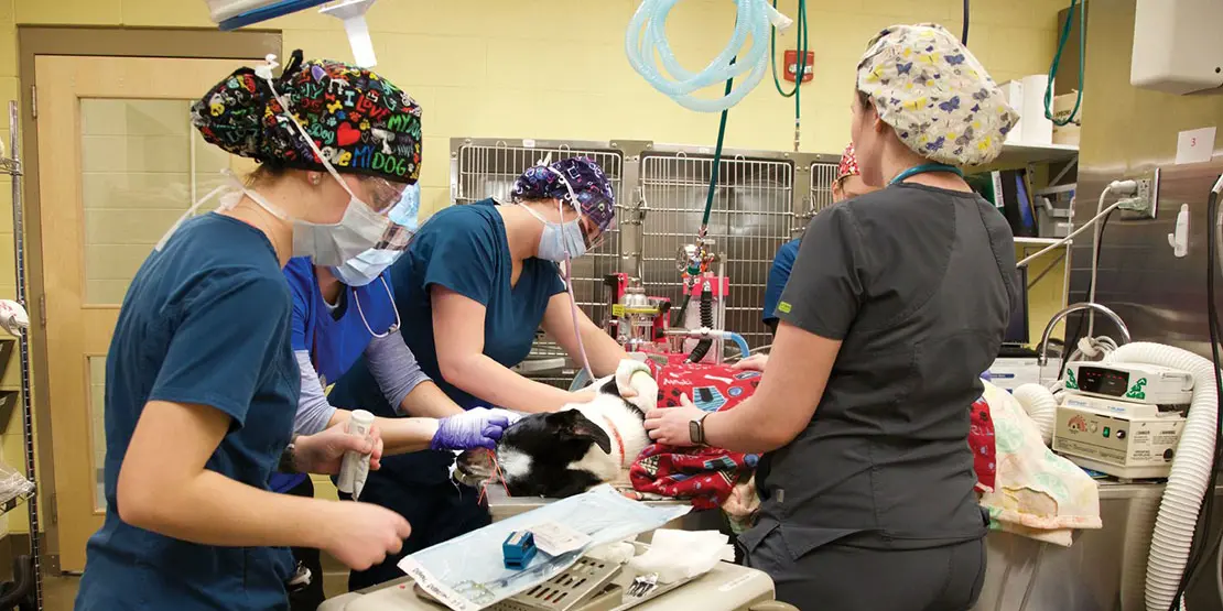 A-B Tech Department Chair Paige Jimeson Instills a Legacy News Carousel - 3