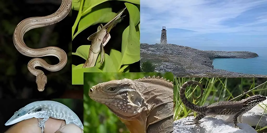 A-B Tech Free STEM Fridays Return for Spring Semester - News Featured