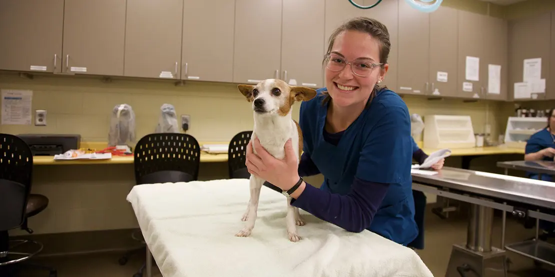 Veterinary Student holding dog on an examining table