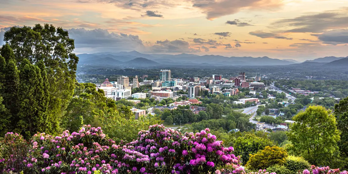 View of mountain laurels with Asheville in the background