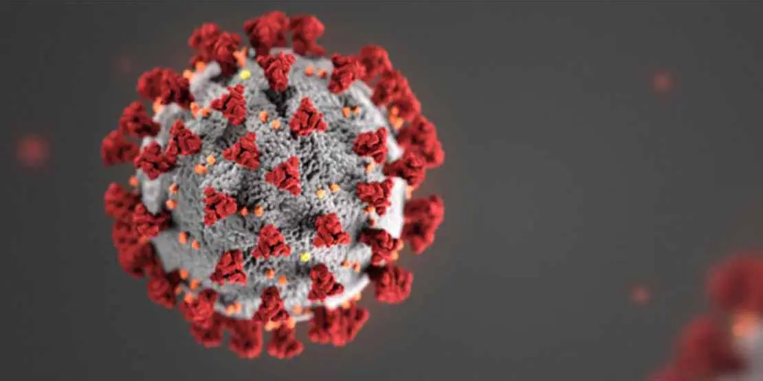 Coronavirus - News Featured