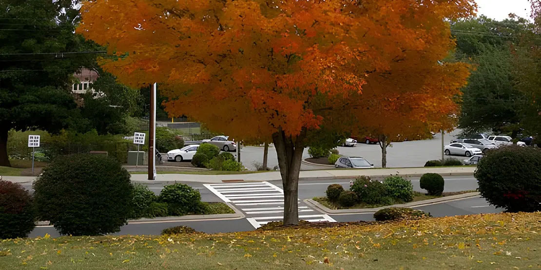 Fall at A-B Tech - News Featured