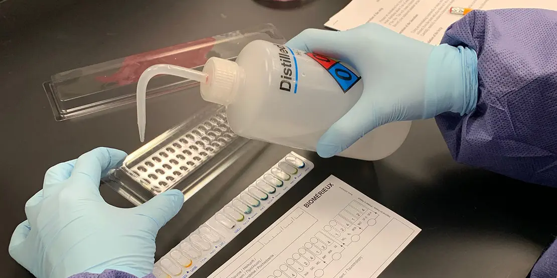 Medical Laboratory Technology - News Carousel - 7