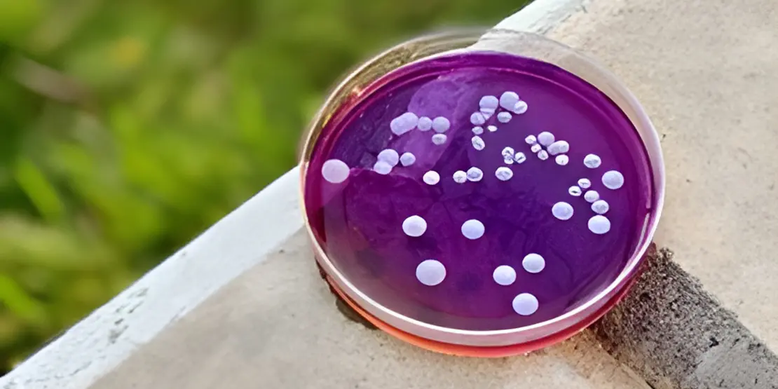 STEM Friday: March 13 - News Featured