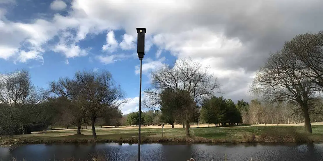 Bat house on a pole.