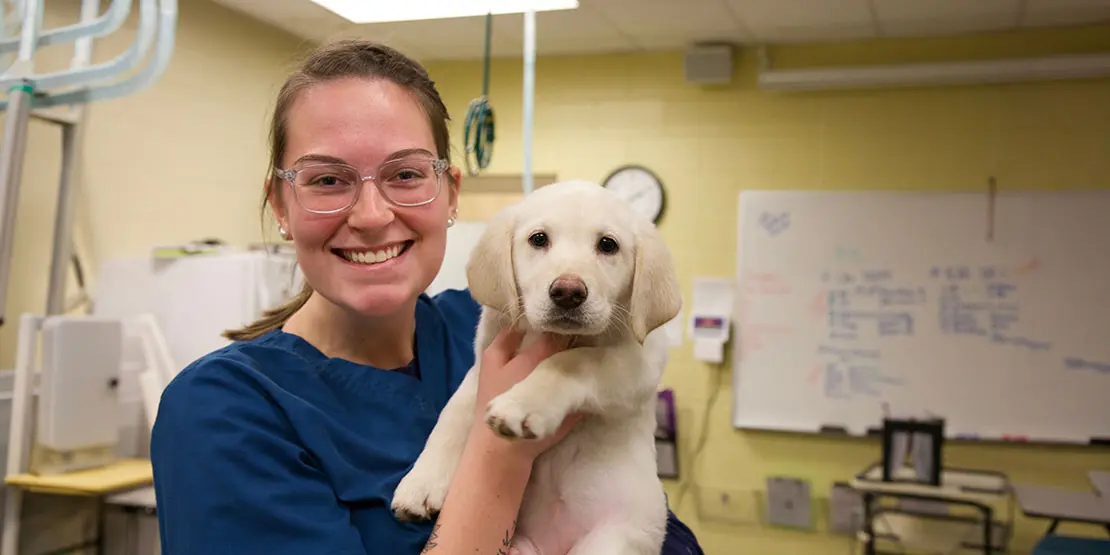 Veterinary Tech Open House - Featured