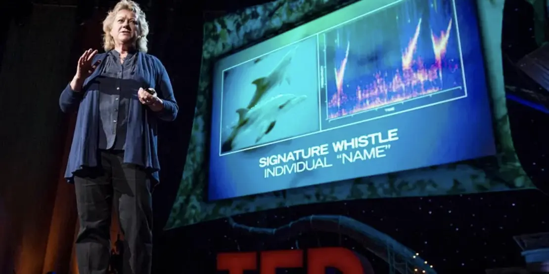Denise Herzing at TED13