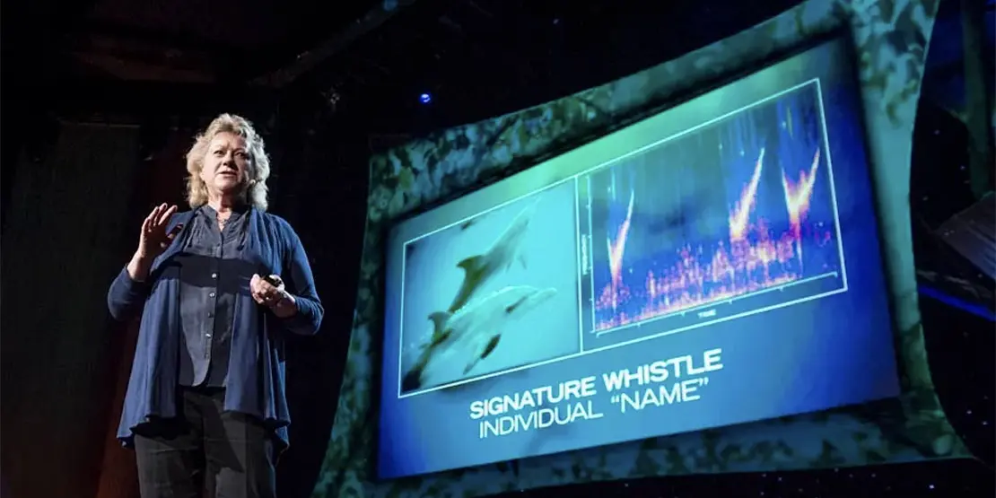 We Matter STEM Seminar: What Are Animals Talking About? - News Featured
