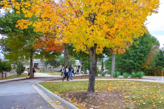Autumn on Campus