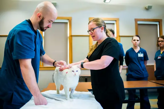 Veterinary Medical Technology | Asheville-Buncombe Technical Community  College