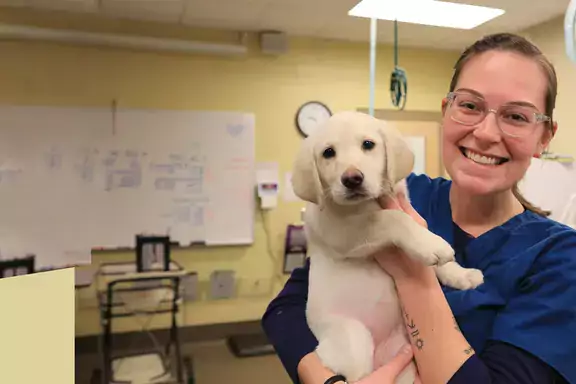 how long does it take to be a veterinary technician