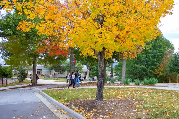 autumn on campus
