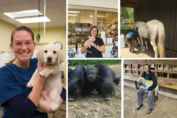 2026 Vet Tech Open House - Slider
