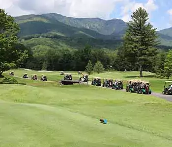 Golf carts lined up with mountains in the background.