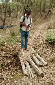 Log bridge on A-B Trek Hiking Trail