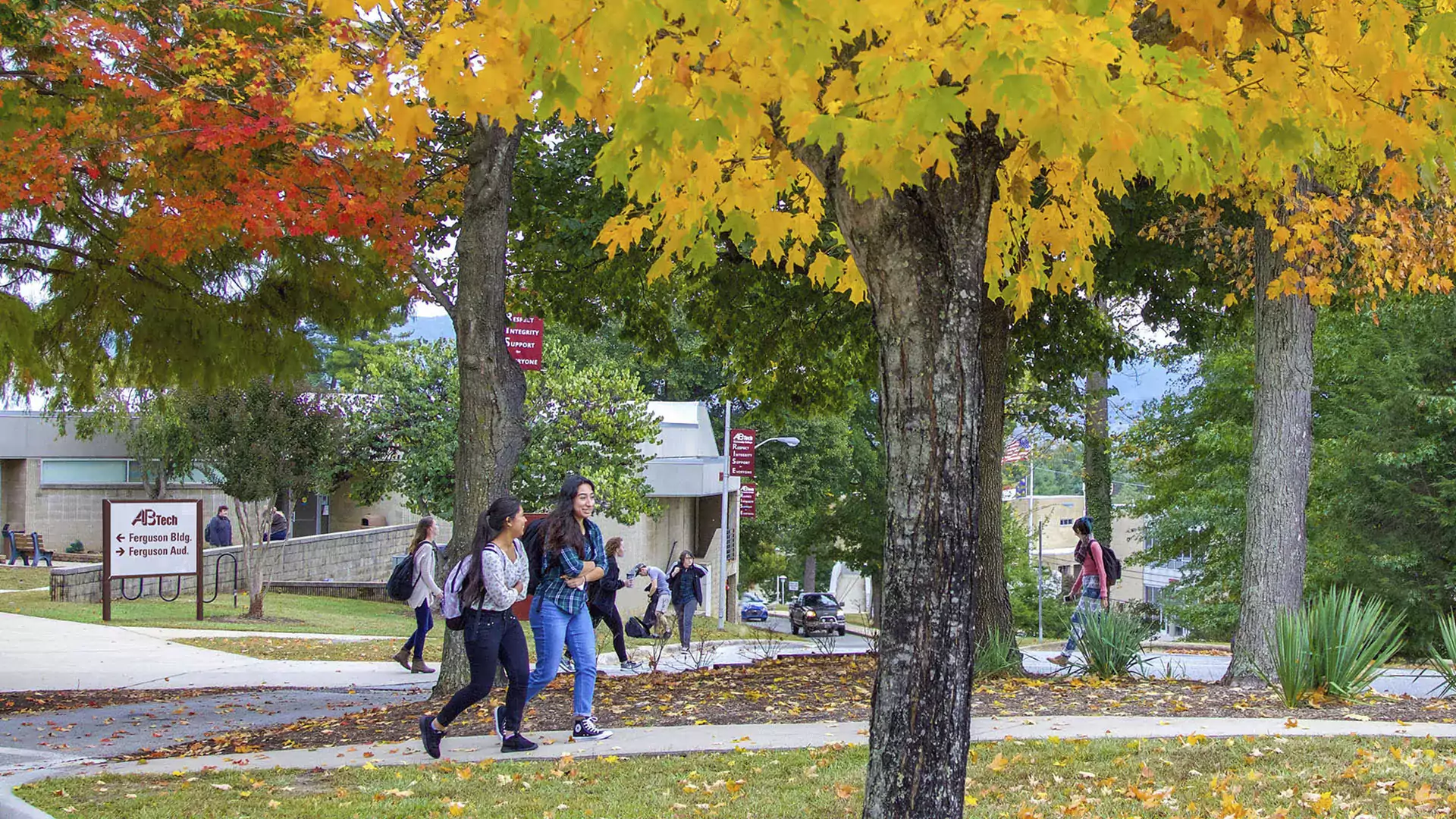 Student walking beneath autumn trees