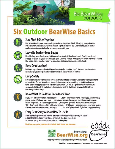 2023 BearWise Outdoor Basics Flyer Image
