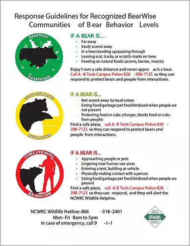 A-B Tech Bear Behavior Level Flyer Image