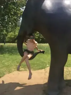 LeighAnn Devore - Headshot