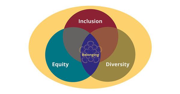 Diversity, Equity, Inclusion, And Belonging (DEIB) | Asheville-Buncombe ...