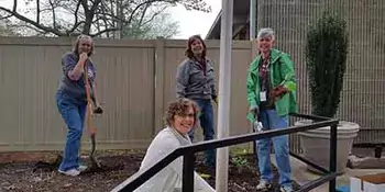 Four volunteers working with plants