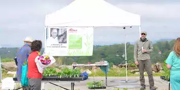 Tent with customers and plants