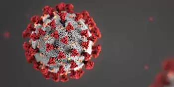 A coronavirus