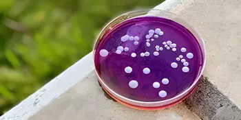 STEM Friday: March 13 - News Featured