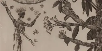 The Rhapsodist Accepting Submissions For The 2024 Issue - News Featured